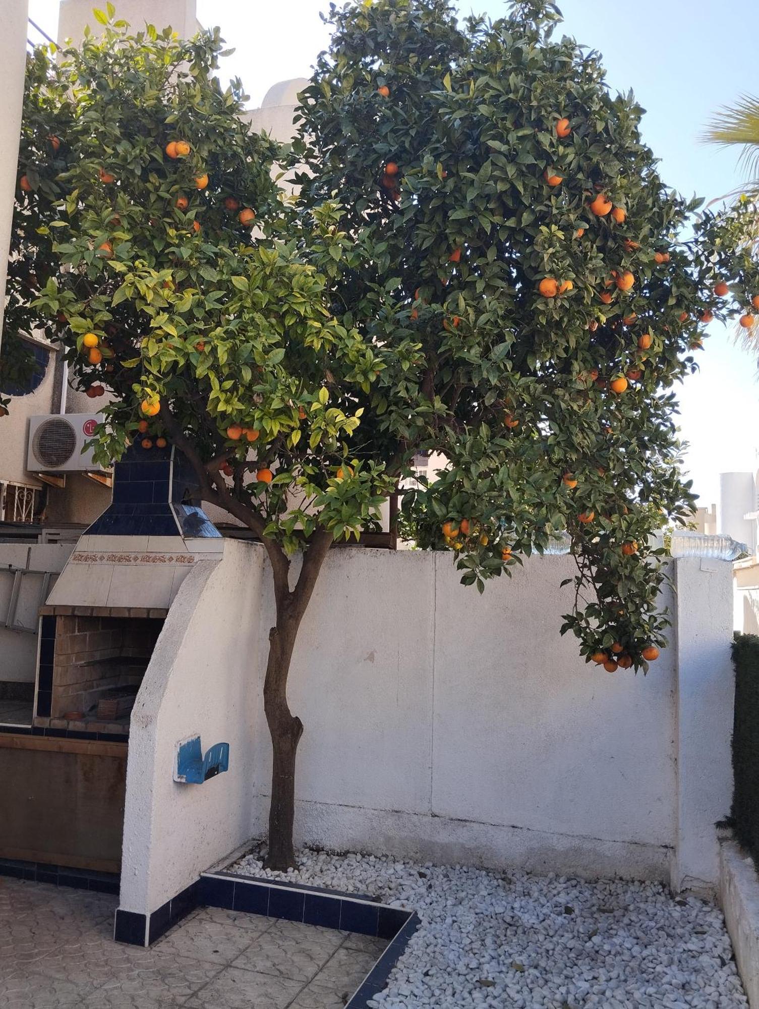 Z&R - Alcyone Villa Torrevieja Ngoại thất bức ảnh