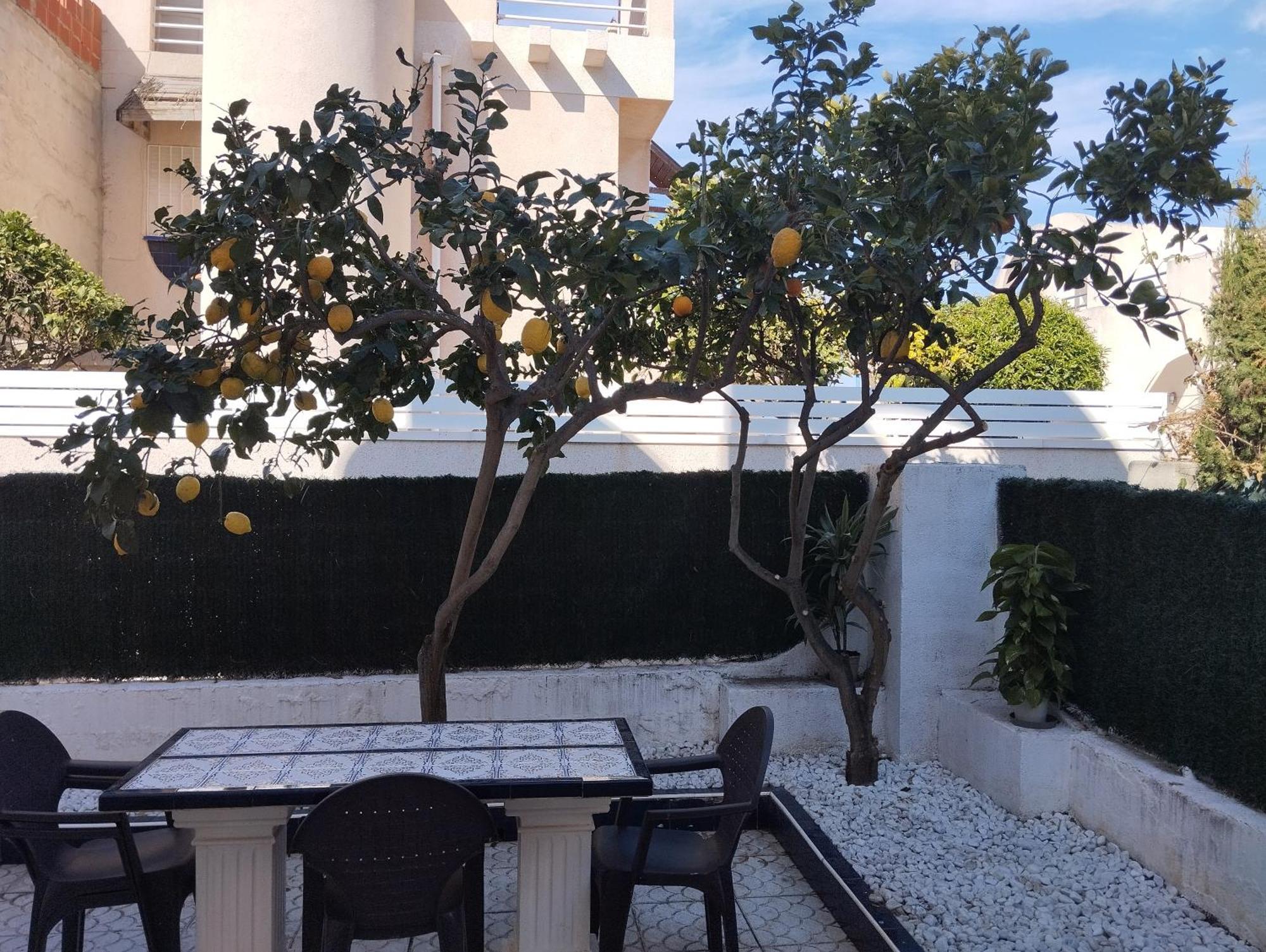 Z&R - Alcyone Villa Torrevieja Ngoại thất bức ảnh